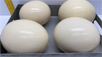 4 LARGE OSTRICH EGGS