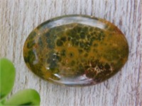 CABOCHON ROCK STONE LAPIDARY SPECIMEN