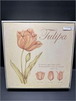 Heavy box Tulipa wall art by Stephanie Marrott