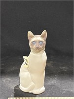 Siamese cat