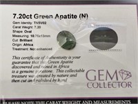 7.20ct Green Apatite (N)