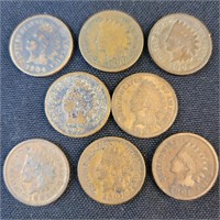 8 Indian Head Pennies 1887-1905