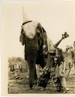 8x10 Elephant with clown and child