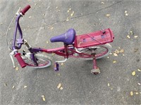 Children's Princess Bike