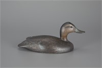 Black Duck