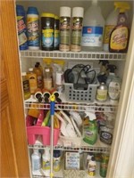 Assortment of Household Cleaning Products