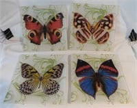 6 square glass butterfly plates, 8" square