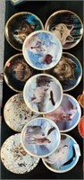 11 Wolf plates