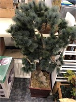 Artificial bonsai pine tree in a pot