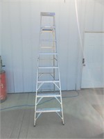 Warner Eight Foot Ladder