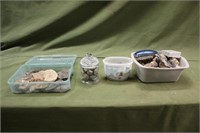 Assorted Rock & Fossils