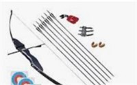 40lb Archery 52" Takedown Recurve Bow Kit Arrows