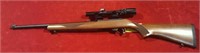 Ruger 10/22 auto 22