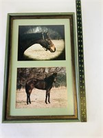 2 panel framed horse print