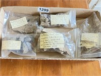 Lot Local Indian Artifacts from Hartley Dig Site