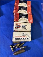 .22 Cal Ammo