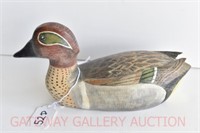 Green Wing Teal: