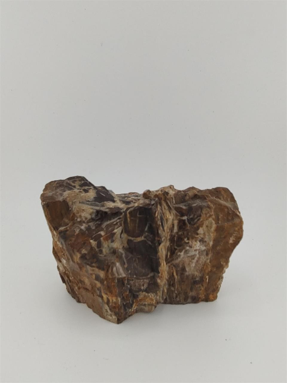 Looks to be petrified Wood but Uncertain