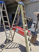 8' WERNER LADDER