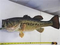 NICE Bass Fish Wall Mount Taxidermy