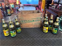 9 x Canada Dry Full Bottles w/Wooden Crate