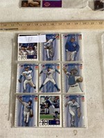 Iowa Cubs Baseball Cards