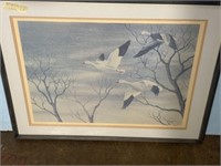 Framed Print of Geese