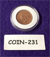 1901 INDIAN HEAD PENNY SEE PHOTO