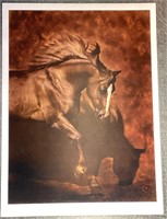 Horse Dancer By Robert Dawson 13X17