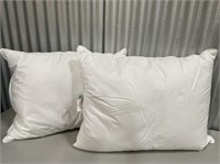 Throw Pillows Couch Cushion, (White 20"x26")