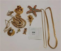 GOLD COLOURED JEWELLERY - BROOCHES / CHAINS / PINS