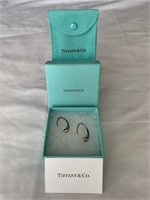 Tiffany & Co. Elsa Peretti teardrop earrings