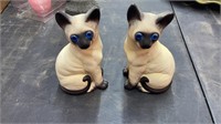 Pair of Siamese Cats