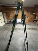 7 Foot Davidson Fiberglass Ladder