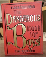 The Dangerous Book for Boys - Gonn Iggulden