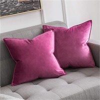 (covers only) 2pcs Decorative Velvet Pillow covers