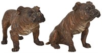 2 Cold Painted Bronze Bulldogs