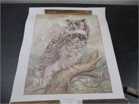 Jill Fogelsong Great Horned Owl Print