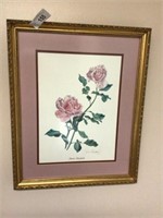 Framed picture “Queen Elizabeth Rose” - 15 in x