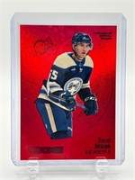 David Jiricek /100 Rookie Hockey Card