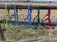 5 NYLON HALTERS