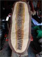 Eel Skin On Cloth