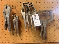 (7) Various Style Vice Grips