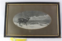 Antique Framed 1800's Black and White Elk Print