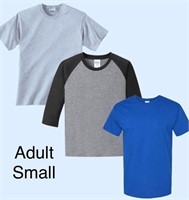 Lot of 3 - Hanes Adult Sized SMALL Tees
