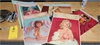 (24) PIN UP POSTERS