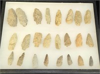 Arrowheads in Display Case