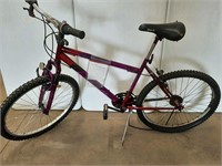 ARASHI DYNASTY RED MOUNTAIN BIKE