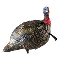 AVIAN-X LCD QUARTER STRUT JAKE TKY DECOY