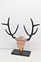 Decor - Deer Skull & Antler Sculpture